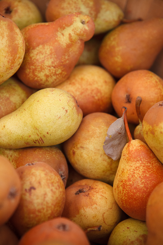 Pears at the Provo Fresh Wednesday Farmer's Market in Downtown Provo