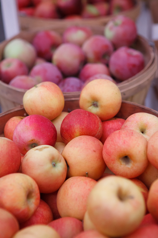 apples in bushel baskets at the Provo Fresh Wednesday Farmer's Market in Downtown Provo