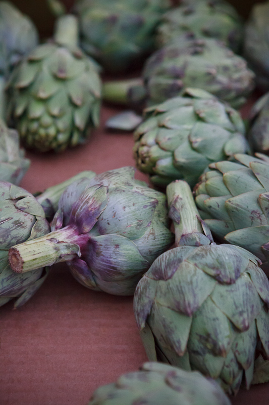 Artichokes at the Provo Fresh Wednesday Farmer's Market in Downtown Provo