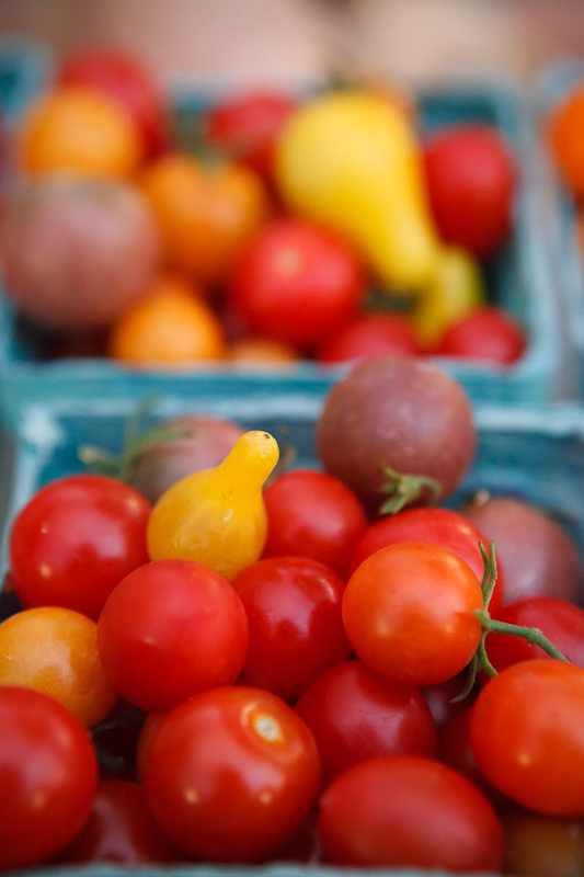 Baskets of cherry tomatoes at the Provo Fresh Wednesday Farmer's Market in Downtown Provo